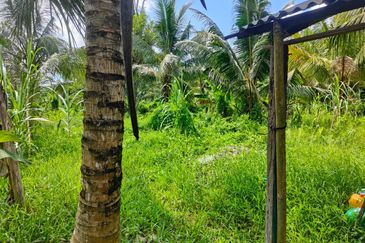 Agriculture land for sell @ Ayer Baloi, Pontain