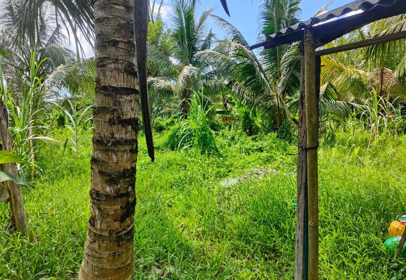 Agriculture land for sell @ Ayer Baloi, Pontain