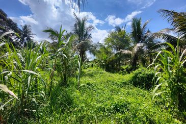 Agriculture land for sell @ Ayer Baloi, Pontain