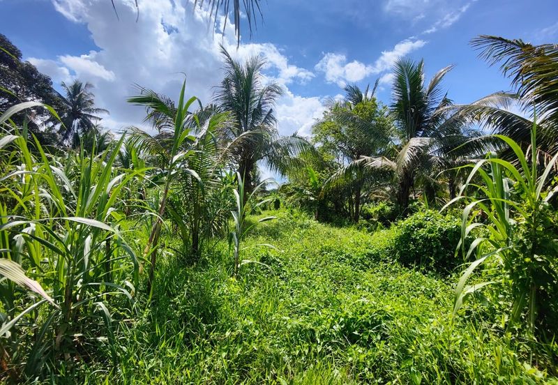 Agriculture land for sell @ Ayer Baloi, Pontain