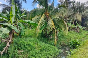 Agriculture land for sell @ Ayer Baloi, Pontain