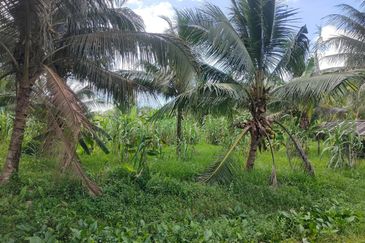 Agriculture land for sell @ Ayer Baloi, Pontain