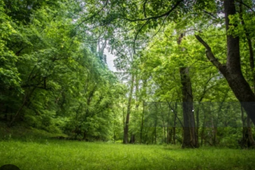 Hulu Langat Sungai Tekali Orchard Land For Sale