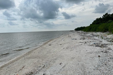 Sekinchan Selangor Agriculture Land For Sale