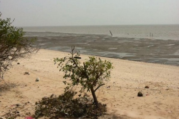 Sekinchan Selangor Agriculture Land For Sale