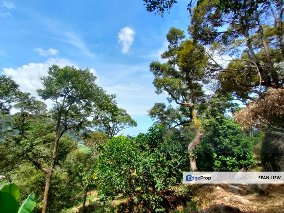 Durian Plantation for Sale – Pulau Penang, Penang, Bayan Lepas