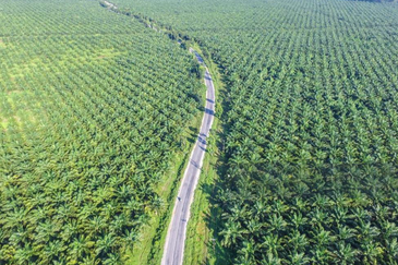 Kluang, Johor Zoning Commercial Land For Sale