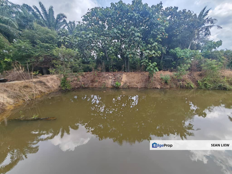 Jasin Melaka Durian Plantation For Sale, Melaka, Jasin