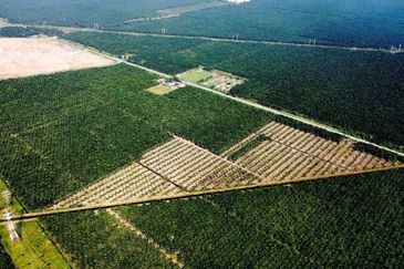 Light Industrial Land for Sale at Kapar