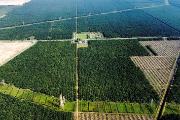 Light Industrial Land for Sale at Kapar