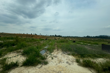 Pahang Lanchang Durian Farm Land For Sale