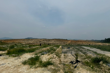 Pahang Lanchang Durian Farm Land For Sale