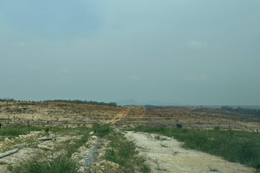 Pahang Lanchang Durian Farm Land For Sale