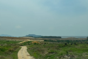 Pahang Lanchang Durian Farm Land For Sale