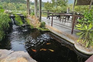 Hulu Langat | Sungai Makau Resort & Agriculture Land for Sale