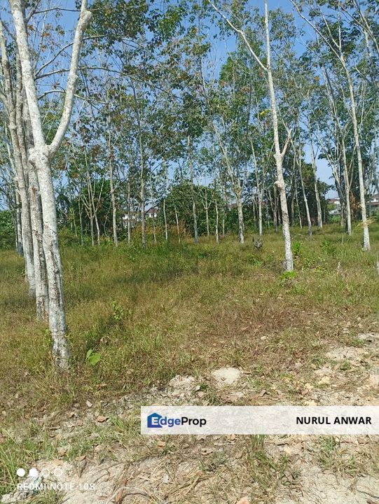 TANAH 1ST GRADE DI BANDAR BERTAM PUTRA UNTUK DIJUAL. GERAN INDIVIDU, FREEHOLD, BERHAMPIRAN TAMAN., Penang, Bertam