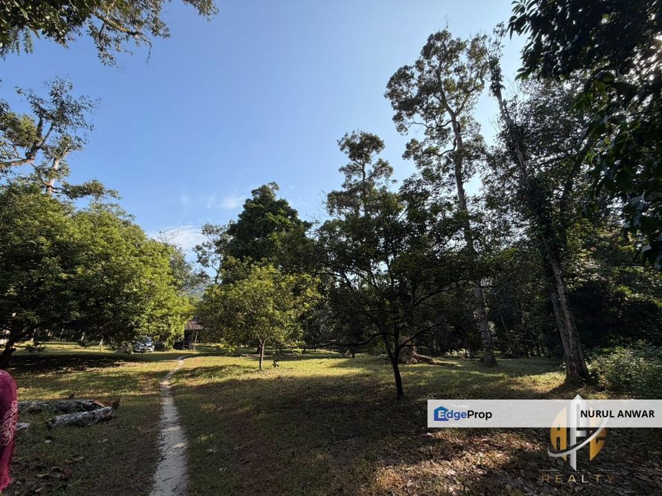 TANAH DUSUN DURIAN UNTUK DIJUAL Di SUNGAI TENGAS, Kulim. GERAN INDIVIDU, TANAH RATA, ADA ANAK SUNGAI, Kedah, Kulim