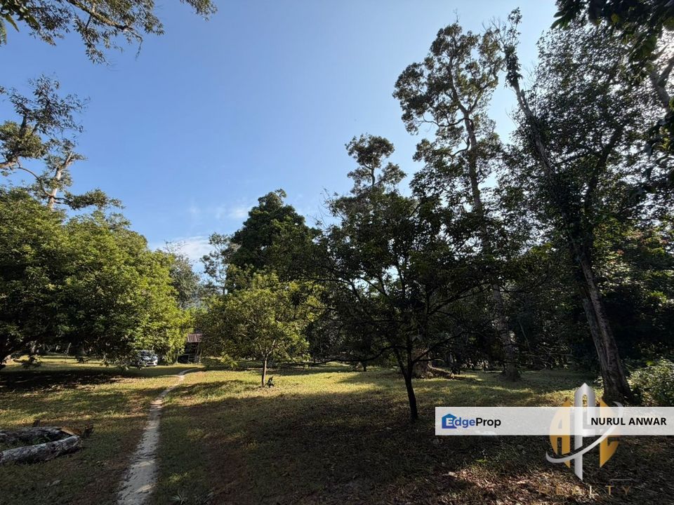 TANAH DUSUN DURIAN UNTUK DIJUAL Di SUNGAI TENGAS, Kulim. GERAN INDIVIDU, TANAH RATA, ADA ANAK SUNGAI, Kedah, Kulim