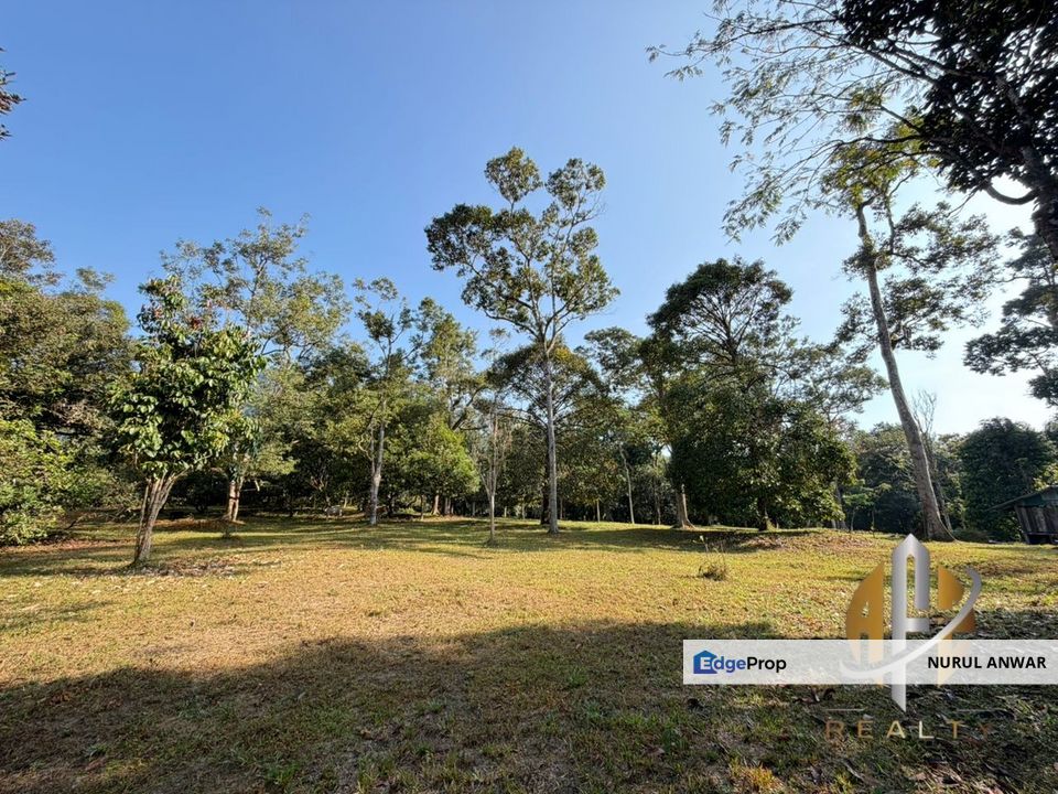 TANAH DUSUN DURIAN UNTUK DIJUAL Di SUNGAI TENGAS, Kulim. GERAN INDIVIDU, TANAH RATA, ADA ANAK SUNGAI, Kedah, Kulim