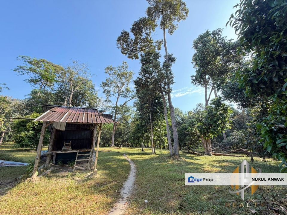 TANAH DUSUN DURIAN UNTUK DIJUAL Di SUNGAI TENGAS, Kulim. GERAN INDIVIDU, TANAH RATA, ADA ANAK SUNGAI, Kedah, Kulim