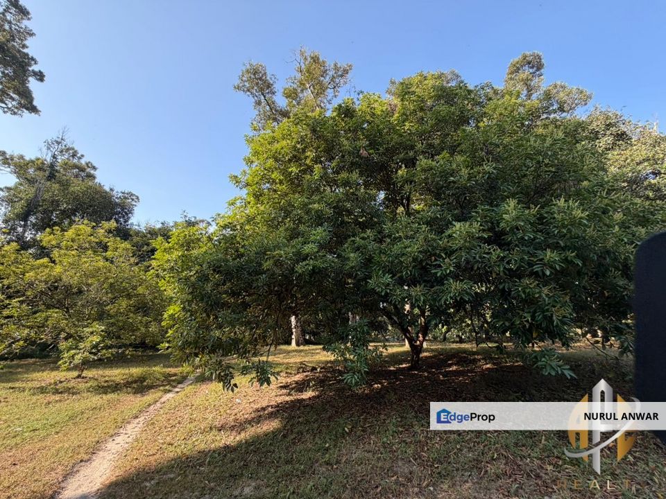 TANAH DUSUN DURIAN UNTUK DIJUAL Di SUNGAI TENGAS, Kulim. GERAN INDIVIDU, TANAH RATA, ADA ANAK SUNGAI, Kedah, Kulim