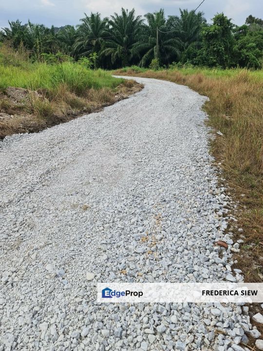 9 acres ++ Freehold  Oil Palm Land For Sale In Bercham, Ipoh, Perak, Perak, Ipoh