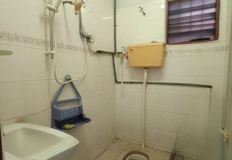 TAMAN SAUJANA, BATU GAJAH