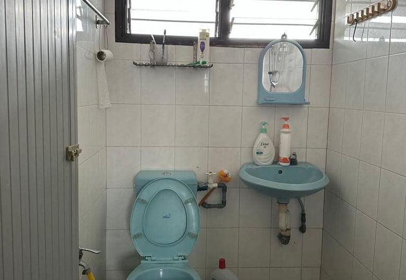 TAMAN SAUJANA, BATU GAJAH