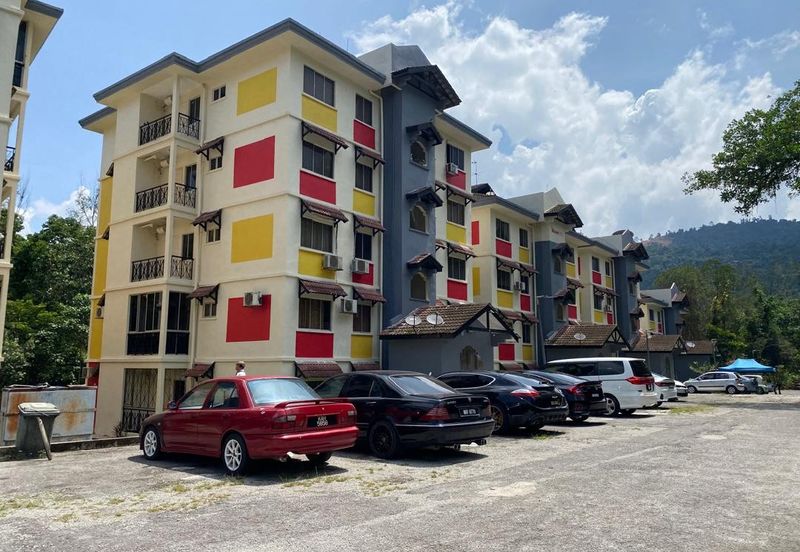 Serendah Golf Resort (Chazara, Fabriciana, Issoria, Vanessa)