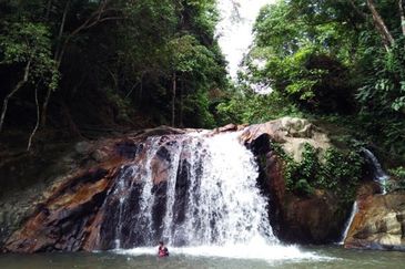 Serendah Golf Resort (Chazara, Fabriciana, Issoria, Vanessa)