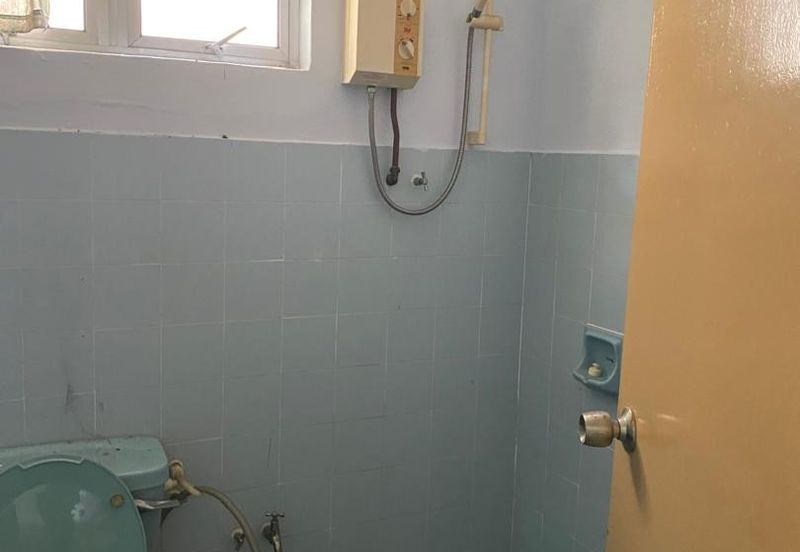 Serendah Golf Resort (Chazara, Fabriciana, Issoria, Vanessa)