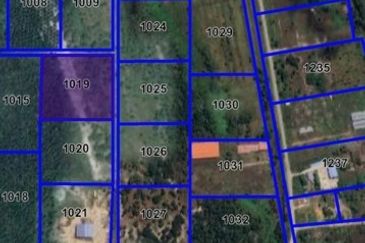 Agriculture Land @ Tanjung Sepang, Kota Tinggi, Johor, Malay Reserve Land, For Sale