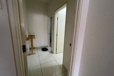 Siphonia @ Chemara Hills