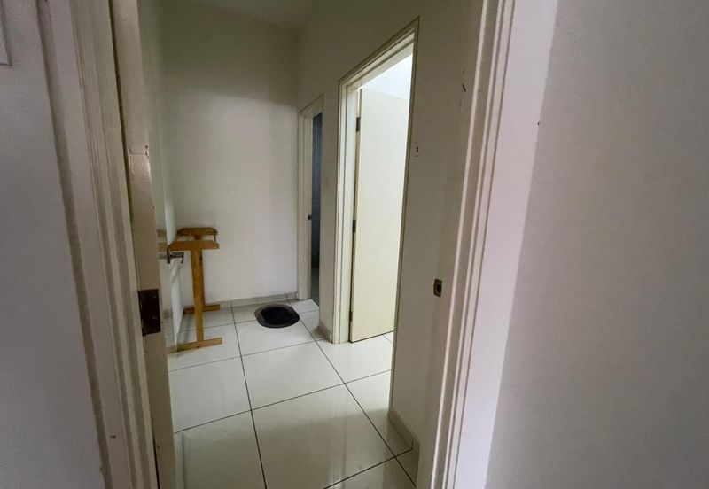 Siphonia @ Chemara Hills