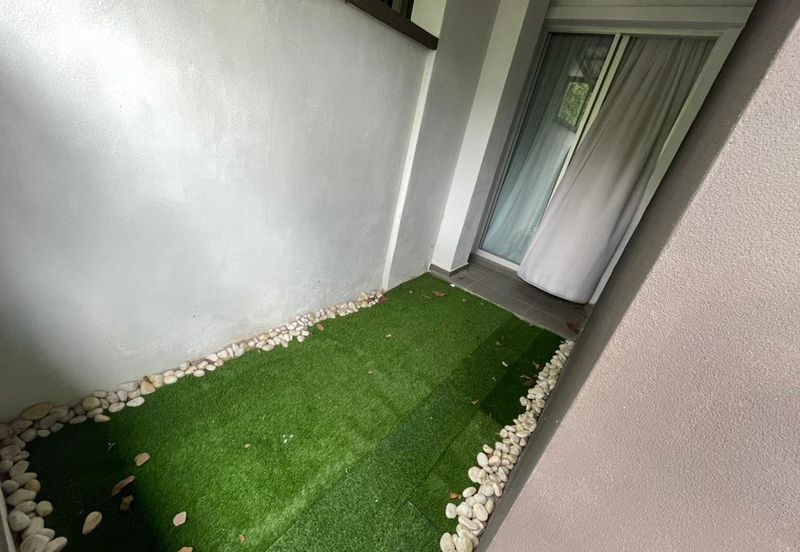 Siphonia @ Chemara Hills