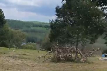 Prime Hilltop Durian Farm Land – Desaru