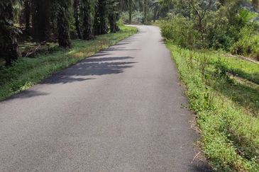 Rare Durian Orchard near Cameron Highland 31.5 Acres Agricultural  land 榴莲园出售！神仙宝地，非你莫属