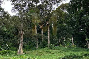 Balik Pulau / Teluk Bahang