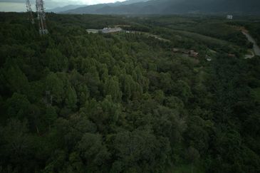 8 Acres Malay Reserved Land