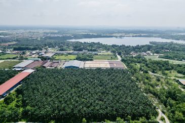 Industrial Land in Kampar