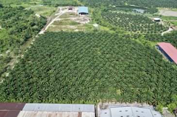 Industrial Land in Kampar