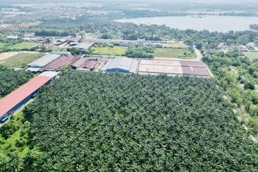 Industrial Land in Kampar