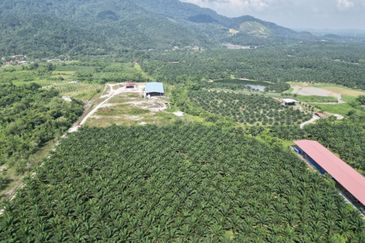 Industrial Land in Kampar