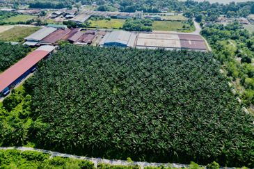 Industrial Land in Kampar