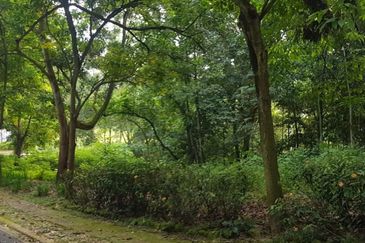 Country Heights Damansara