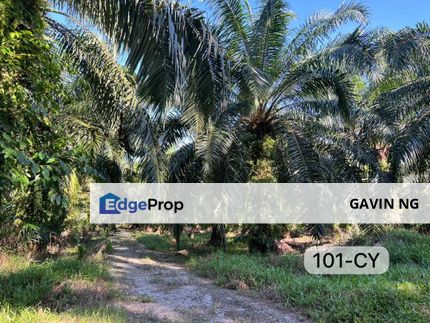 [VALUE BUY] Telok Panglima Garang Kuala Langat Klang Zoning Industrial Land, Selangor, Telok Panglima Garang