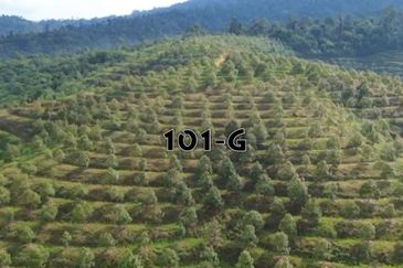 Jalan Bypass Kuantan