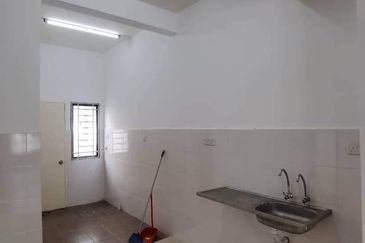 Crista (Erythrina Series), Setia Alam