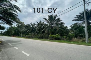 Banting @ Industrial