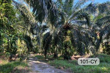 Telok Panglima Garang